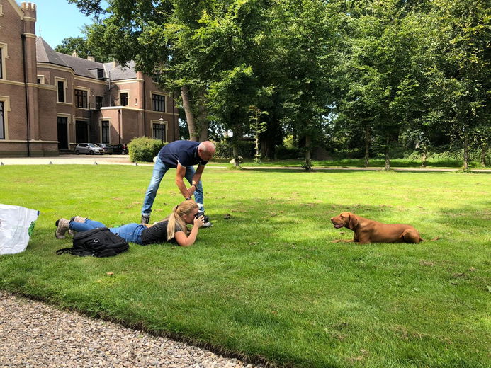 Fotoshoot met je hond