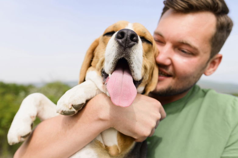 Waarom is biologisch voer het beste voor je huisdier?