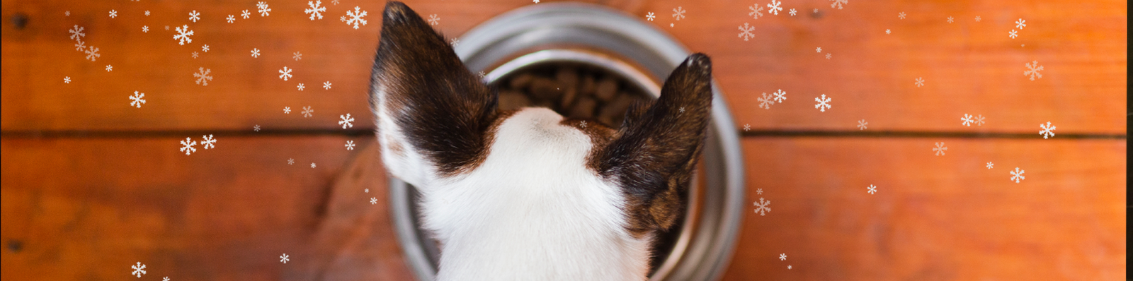 Verras je hond met kerst