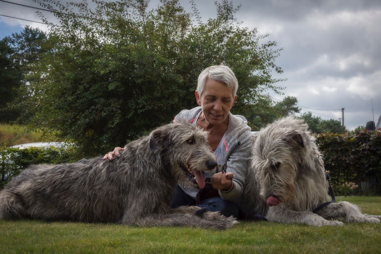 'Het zijn grote honden met een piepklein hartje'
