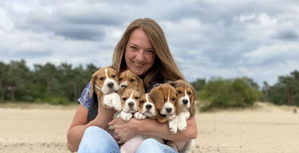 ‘Natuurlijk zijn Beagles wel te trainen’