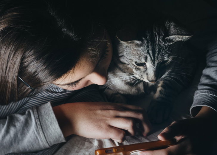 5 x Insta cats die je niet wilt missen