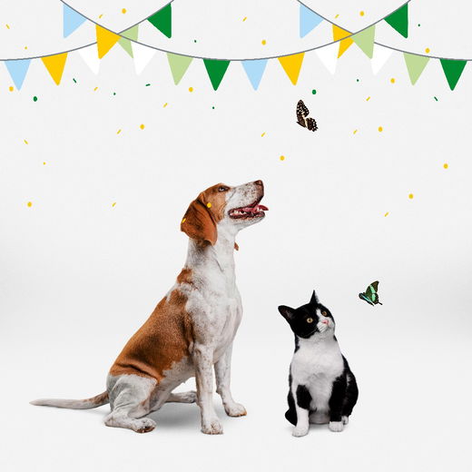 Zo maak je jouw liefste maatje extra blij op Werelddierendag!