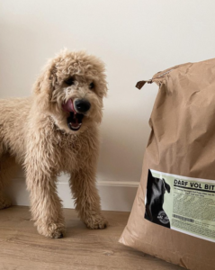 Instagramhond labradoodle Guus heeft zin in de DARF VOL Bites